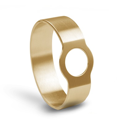 stainless steel IP gold